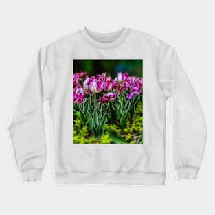 Parrot Tulips Spring Flower Garden photograph Crewneck Sweatshirt